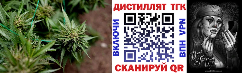 Дистиллят ТГК жижа Межгорье